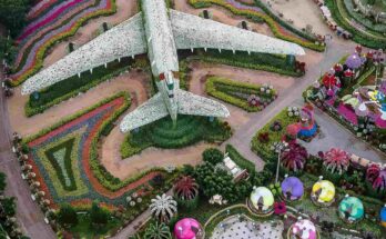 An aerial view of the vibrant and colorful flower displays at Dubai Miracle Garden.