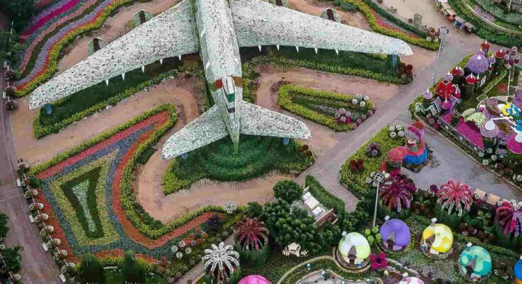 An aerial view of the vibrant and colorful flower displays at Dubai Miracle Garden.