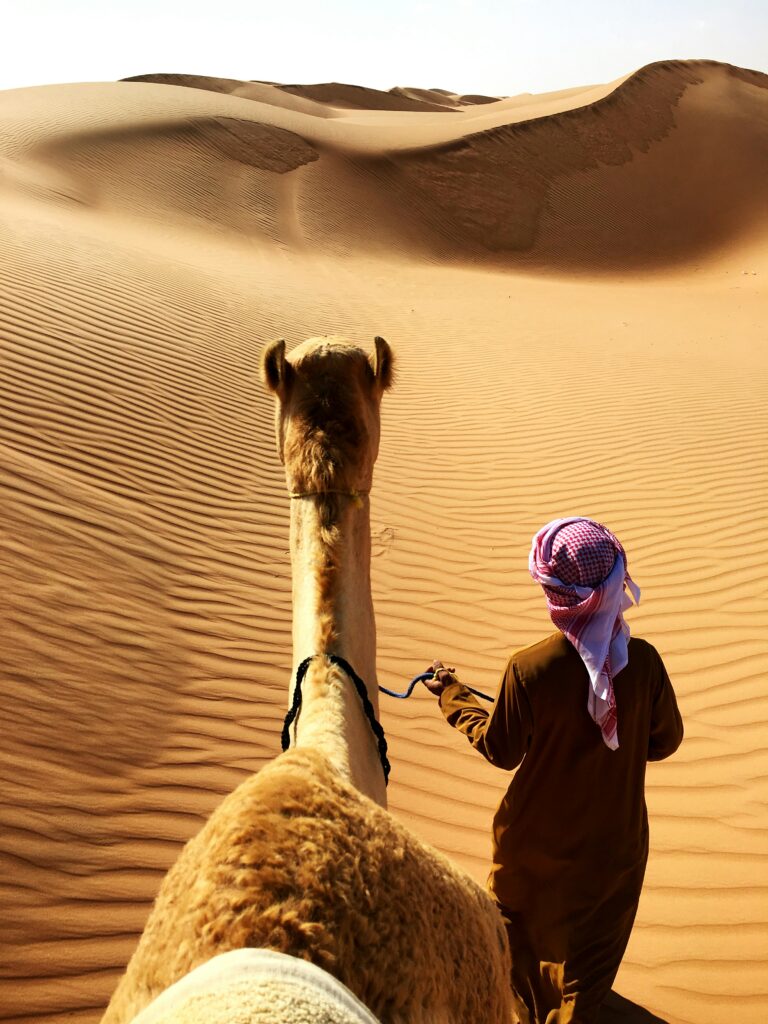View from a camel's back in the Dubai desert with a guide in traditional attire."