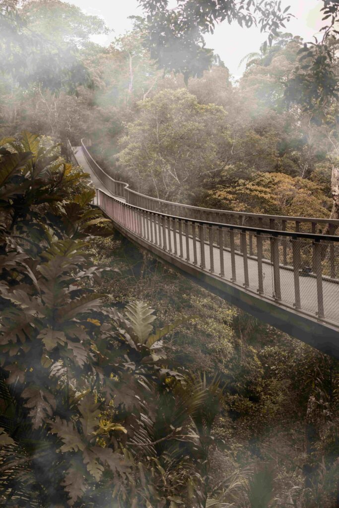 Misty elevated Skywalk walkway curving through the rainforest canopy on Penang Hill, Malaysia 