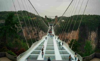 Tourists walking on the Zhangjiajie Grand Canyon Glass Bridge suspended 300 metres above the valley in Hunan China