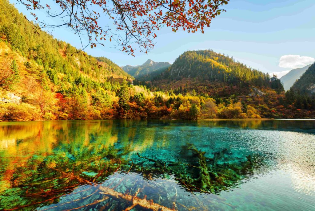 Crystal-clear turquoise lake with visible sunken tree branches in Jiuzhaigou National Park