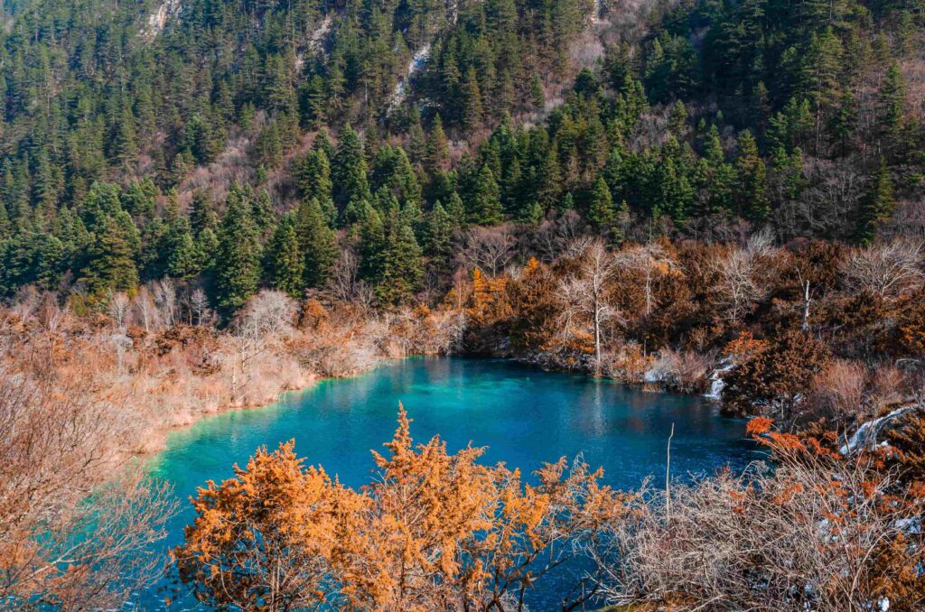 Aerial view of a teal-colored alpine lake surrounded by autumn forest in Jiuzhaigou Valley